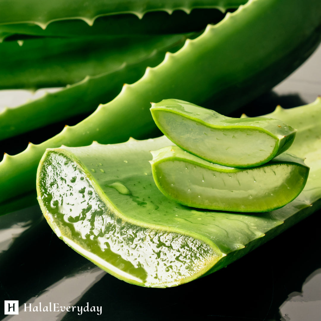 100% Pure Aloe Vera Gel Organically Sourced Skin Care Moisturizer Cosmetic Grade