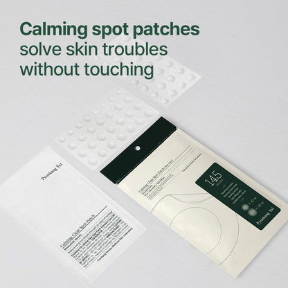 PKY Calming Clear Spot Patch (Slim Care)145 Count Quick, Adhesive & Invisible Oval Fit Stickers, Hydrocolloid Acne Spot Cover, Pimple Focused Skin Care for Blemishes and Zit, 2 Sized